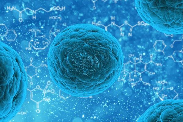 Cellule staminali, ultime scoperte: possibile curare il cancro